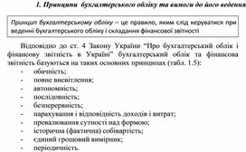 Обложка для материала Принципи бухгалтерського обліку та вимоги до його ведення