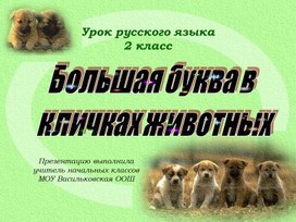 Обложка для материала Презентация Большая буква в кличках животных