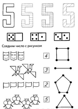 Обложка для материала пять