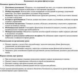Обложка для материала Безопасность на уроках физкультуры