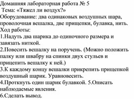 Обложка для материала Домашняя лабораторная работа