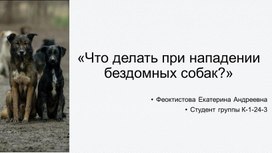 Обложка для материала "Что делать при нападении бездомных собак ?".