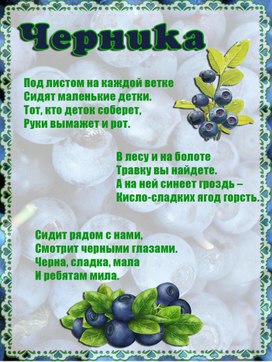 Обложка для материала черника