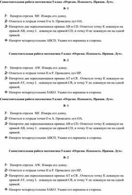 Математика 5 класс Самостоятельная работа  «Отрезок.Плоскость.Прямая.Луч».