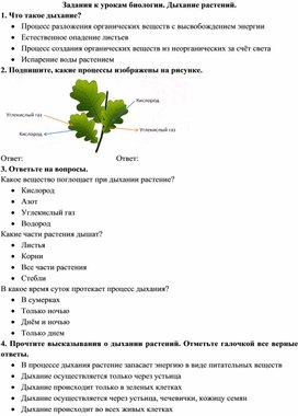 Тест по биологии по теме дыхание