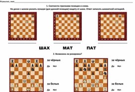 Первичная диагностика по программе шахматного всеобуча (2 год обучения)