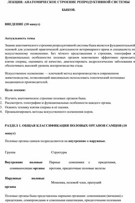Обложка для материала ЛЕКЦИЯ: АНАТОМИЧЕСКОЕ СТРОЕНИЕ РЕПРОДУКТИВНОЙ СИСТЕМЫ  БЫКОВ.