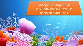 Морские кораллы: уникальные животные тропических вод