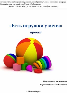 Проект Есть игрушки у меня