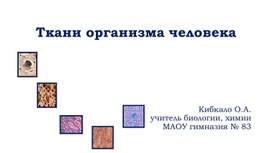 Лабораторная работа по теме "Ткани организма человека"