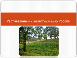 Презентация на тему "Растительный и животный мир России"