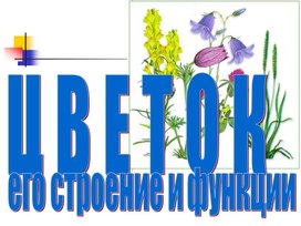 Обложка для материала урок строение цветка