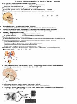 Обложка для материала итоговая робота 8 класс