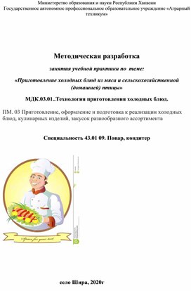 Обложка для материала Методическая разработка занятия учебной практики по  теме: «Приготовление холодных блюд из мяса и сельскохозяйственной (домашней) птицы»