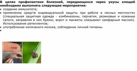 Обложка для материала ПАМЯТКА   ЗАЩИТА ОТ КЛЕЩЕЙ.  МЕРЫ ПРОФИЛАКТИКИ КЛЕЩЕВОГО ЭНЦЕФАЛИТА