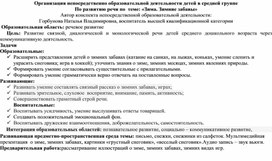 Организация непосредственно образовательной деятельности детей в средней группе   По развитию речи по  теме: «Зима. Зимние забавы»