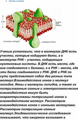 Какую роль могли сыграть липиды в появлении клетки в процессе эволюции