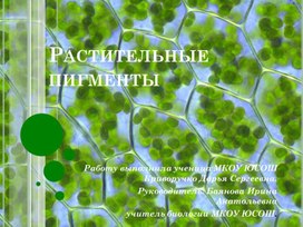 Обложка для материала презентация "Растительные пигменты"