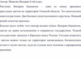Обложка для материала Растение "Венерин башмачок" Автор: Иванова Валерия