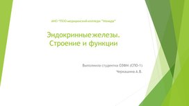 Презентация по анатомии и физиологии человека: Анатомия эндокринных желёз