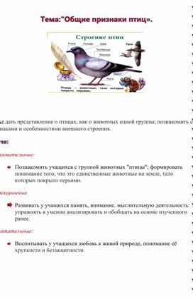 Обложка для материала Птицы