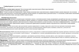 Урок русского языка по теме "Три склонения имён существительных (общее представление)."