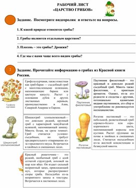Обложка для материала Рабочий лист по теме "Грибы"