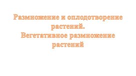 Размножение и оплодотворение растений. Вегетативное размножение