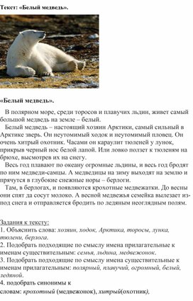Обложка для материала "Белый медведь" Индивидуальное занятие 8-ой класс