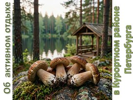 Обложка для материала 0б активном отдыхе в Курортном районе Петербурга