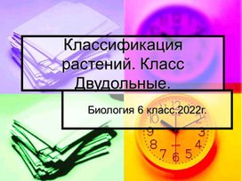 Презентация: Класс Двудольные. Семейство крестоцветные.