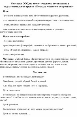 Конспект ООД по экологическому воспитанию в подготовительной группе «Посадка черенков смородины»