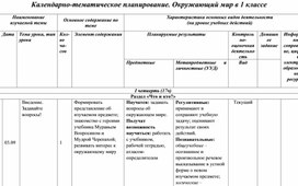 Рабочая программа  1 класс УМК "Школа России"