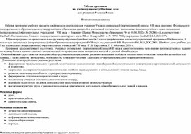 Обложка для материала Рабочая программа по технологии 9 класс 8 вид
