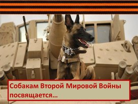 Собаки войны