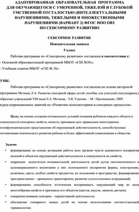 Адаптивная образовательная программа для обучающихся ТНР, Сенсорное развитие.