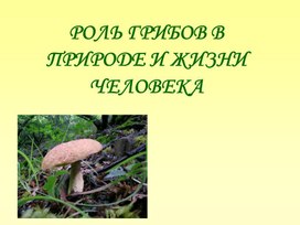 Роль грибов