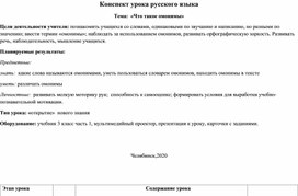 Обложка для материала омонимы