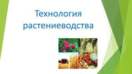Презентация к уроку "Технология растениеводства". 5 класс