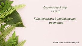 Обложка для материала Урок по окружающему миру 2 класс на тему "Культурные и дикорастущие растения.