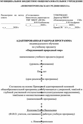 Адаптированная рабочая программа Окружающий природный мир