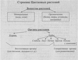 Материал к урокам  биологии