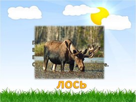 Обложка для материала лось 27 слов