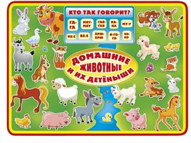 Обложка для материала Презентация "Домашние детёныши и их животные"