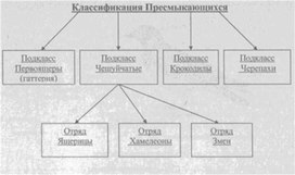 Материал к урокам  биологии