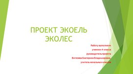 Презентация проекта