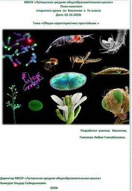 План-конспект 	открытого урока  по  биологии  в  7а классе  Тема «Общая характеристика простейших.»
