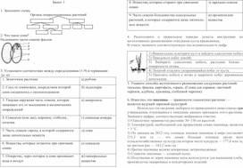 Задание 4. Царство Растения: все задания