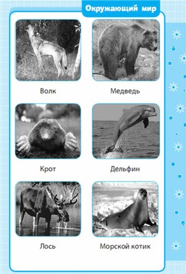 Обложка для материала Окружающий мир для 1-4 классов_схема_27