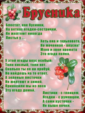 Обложка для материала брусника